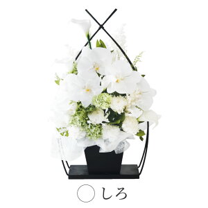 ytwz~      Ӓ  w   x 蕨 v[g AWg vU[uht[  J[l[V  ~  ͂