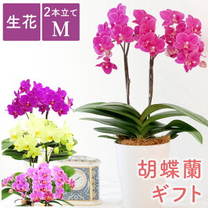 hV̓ v[g 80  Ê j  A  j av[g wIׂ ~fB Ӓ x  Ԕ  Mtg ~jӒ e `  c 70 60 ΂