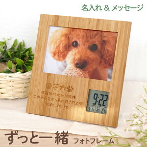 Ê j ybg A ʐ^ v[g v  O Mtg 蕨 y |̐ߖ tHgt[ ybgVer z LOi ؐ fW^ ʐ^ e a |i L  