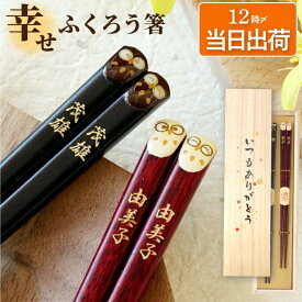 誕生日 プレゼント 80代 両親 金婚式 古希 お祝い 夫婦箸 名入れ ペア 箸 祖父母 【 若狭塗 ふくろう お箸 ペアセット 】 父 母 祖父 祖母 誕生日プレゼント 縁起箸 木製 還暦祝い 米寿 喜寿 傘寿 祝い フクロウ ペアギフト 孫から クリスマス FLEGRE