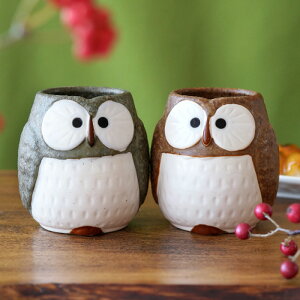 a v[g e 80 Ê j yA ̂ vw Mtg  c y Z ӂ낤  Zbgz җj vwۂ ۂ   yAZbg Ď  