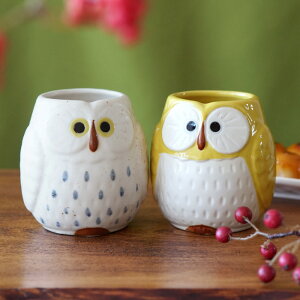 a v[g e 80 Ê j yA ̂ vw Mtg  c y Z ӂ낤  Zbgz җj vwۂ ۂ   yAZbg Ď  