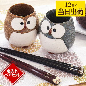 古希 お祝い ペアギフト 還暦祝い 湯呑み ギフトセット 結婚記念日 プレゼント 両親 湯呑 名入れ ペア 若狭塗箸 夫婦箸 ギフト 【 若狭塗 ふくろう 箸 夫婦湯呑 4点 セット お箸 ペアセット 】