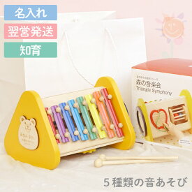 楽天市場 リズム 音楽 ブランドエド インター 知育玩具 学習玩具 おもちゃ の通販