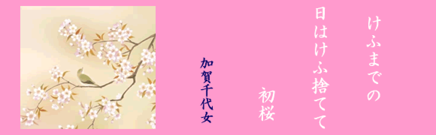楽天市場 | 掛け軸の【ほなこて】楽天市場店 - 掛け軸販売・通販-掛軸