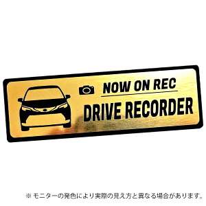 40 XL40 VGi SIENNA hR Gu hCuR[_[ XebJ[ wAC ^ S3F