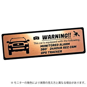 60 XK60�n �Z�R�C�A SEQUOIA �Z�L�����e�B �G���u���� �X�e�b�J�[ �w�A���C�������� ���^���� �S3�F ��T�C�Y