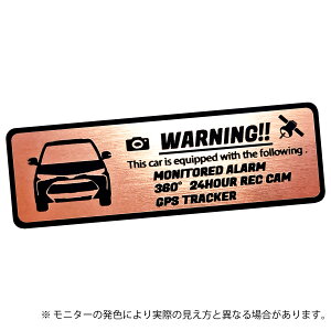 50 50系 後期 最終型 ESTIMA エスティマ セキュリティ エンブレム ステッカー ヘアライン金属調 メタル調 全3色 小サイズ