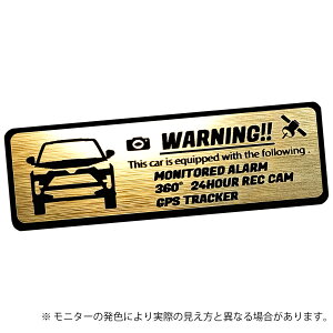 CY RAIZE ZLeB Gu XebJ[ wAC ^ S3F TCY