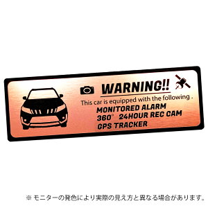 ESCUDO GXN[h ZLeB Gu XebJ[ wAC ^ S3F TCY