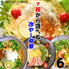 本場久留米ラーメン選べるセットシリーズ さっぱり冷やし中華(冷麺)7種セットから選べる (計6食分)お好きなスープを3つお選び下さい ギフト 御中元 内祝 九州生麺