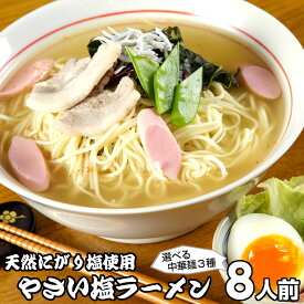 ラーメン お取り寄せ やさい塩ラーメン8人前 人気の特製 スープ ミネラル豊富天然にがり塩使用 しお 野菜の旨味 梅肉 カレー粉 本場九州 メール便 飲食店 メニュー 贈答 ギフト 御中元 内祝 保存食 非常食 まとめ買い お試しセット