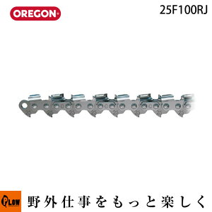 OREGON IS [`F[XJv^[ J[rO |؂ 25F100RJ [