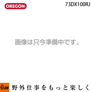 OREGON �I���S�� ���[���`�F�[�� 73DX100RJ