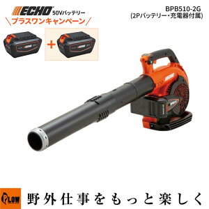 [�v���X�����L�����y�[��] �G�R�[ 50V�o�b�e���[ �u���� 2P�o�b�e���[2�{�[�d��Z�b�g BPB510-2G ���� ���| ���| �K�[�f�j���O ECHO