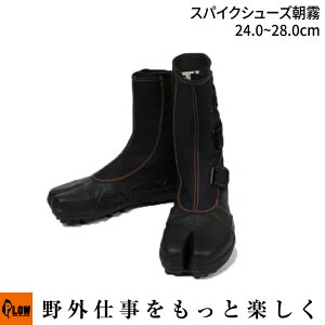 uvXpCNV[Y 24.0`28.0cm(SC ܌^ XэƗp XpCN)