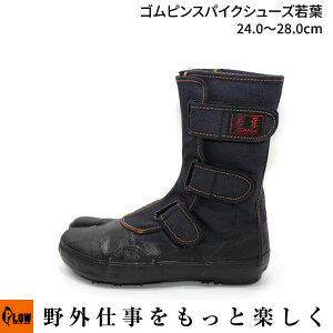 y|Cg5{111zuvSsXpCNV[Yt 24.0`28.0cmiRэ ыƗpi XpCN cȂj