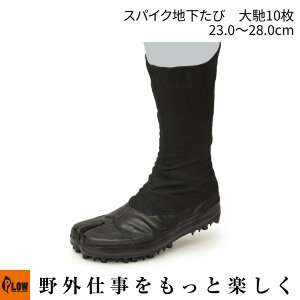 uv XpCNn y10 23.0cm`28.0cmuRd@́@R؍̂@Ɓv