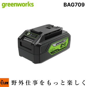 [�G���g���[��P10�{��8/24 20���`] Greenworks �O���[�����[�N�X 24V ��e�ʃ��`�E���C�I���o�b�e���[ 4.0Ah USB���d�Ή� 60���}���[�d