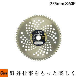 a p`bv\[Rїp1 255×60Py4907052760196z  Ŋ  Ŋ