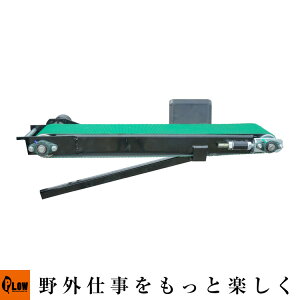 vE^d@ GWP17 IvV xgO[_[