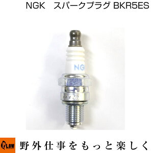 NGK �X�p�[�N�v���O BKR5ES�yNGK-BKR5ES�z �K���F1222ee�@GC410