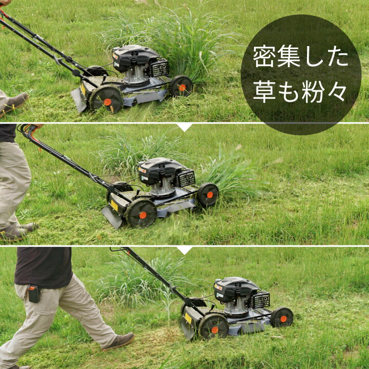 楽天市場】【ポイント5倍◇6月1日限定】【予約商品】【ランキング1位 