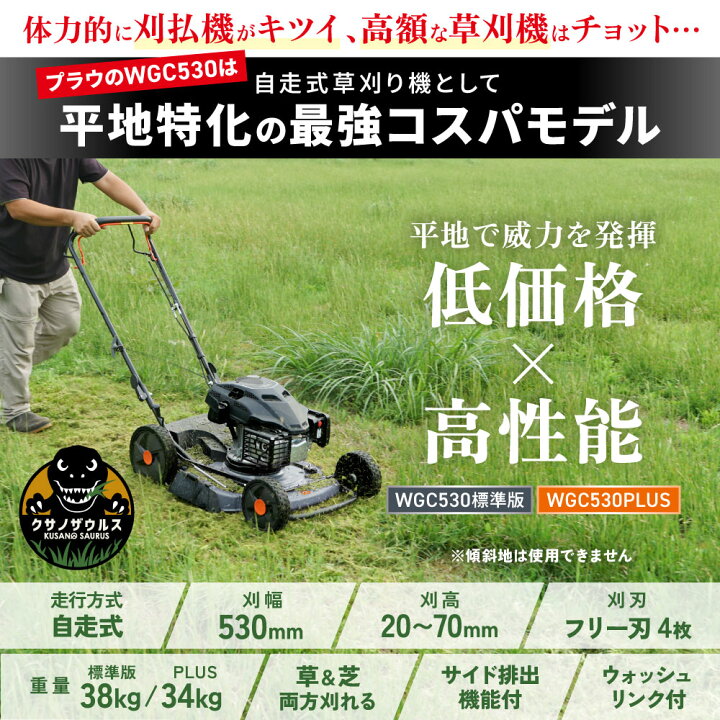 楽天市場】[ランキング1位獲得] プラウ クサノザウルス エンジン式 自 