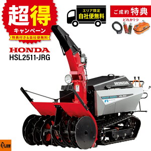 [�G���A����z�B���������T�t��] ����@ �ƒ�p �z���_ HSL2511-JRG ��^ �G���W���� �I�[�K���[�����O FI�G���W�� ���ᕝ110cm �X�}�[�g�I�[�K �����t����������