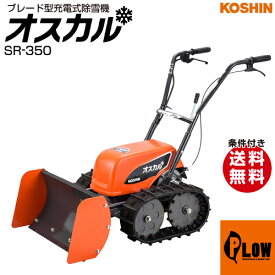 楽天市場 除雪機 家庭用 電動の通販