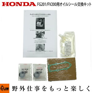 z_k^@ FG201 FV200p ICV[Lbg eiX Ci ICR Zbg