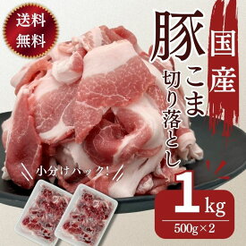 豚肉 送料無料 訳あり こま切れ 豚肉 国産豚こま切り落とし用 500g×2パック　計1kg お買い得 わけあり お取り寄せ 冷凍 食品
