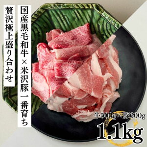 Mtg  Y ؓ  A5A4Yјa~؂藎Ƃ500g×V؈Ԉ炿؂藎Ƃ600g ґɏ㐷荇킹Zbg  ؓ 󂠂 ܐ؂  Ⓚ Hi Vs  j