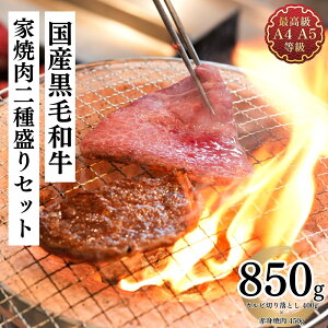Əē Zbg Ya Hה׃Zbg Mtg  yaƏē퐷Zbg  Jr؂藎Ƃ 400g Ԑgēp450g Lv   O Ⓚ Hi Vs