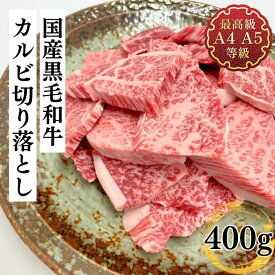 訳あり 切り落とし 肉 焼肉 国産 カルビ 牛肉 和牛 最上級A4A5等級国産黒毛和牛はしっこカルビ切り落とし400g 端 端っこ 不揃い お取り寄せ グルメ 冷凍 食品 わけあり お肉 年末年始