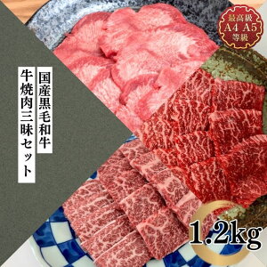 ē Zbg ^ Hה Mtg  O퐷苍ēOZbg  AJY^ Jr  Ԑg Lv   Ⓚ Hi Vs   Y 