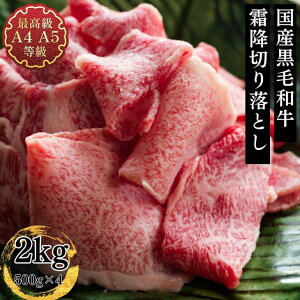 ؂藎Ƃ 󂠂  Y a  Ă  Mtg YјaA4A5 ґȑ~胁Kŏ㋉؂藎Ƃ2kg  ē  O Ă Vs  j 