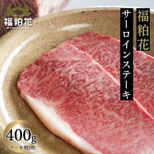  ӂ͂ Xe[L  Mtg  Y  a YuhaԃT[CXe[Lp2400g  p  O j H  ̓ j