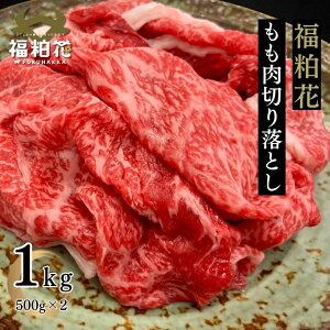 yX[p[SALEڋʔz!z ӂ͂ Ԑg Y  a  ؂藎Ƃ YuhaԂ؂藎Ƃ1kg Ă ē  A5A4N 킯 󂠂 