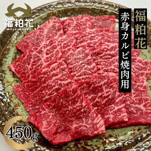  ӂ͂ Ԑg ē Y  a Ԑgēp؂藎Ƃ450g  p  O j H  Ⓚ Hi Vs   o[xL[ Mtg j