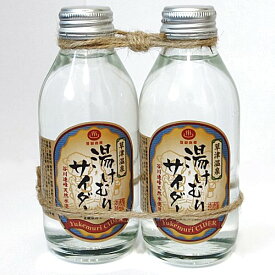 （登録商標）草津温泉　湯けむりサイダー（谷川連峰天然水使用）140ml X2本（ネコポス・宅急便コンパクト不可）