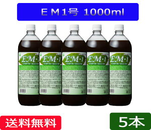  uEM1 1Lvy5{zmEMہAEM1A1Lu1000mlv̔n