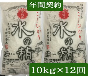 yNԌ_ wzyzL@͔|āu̐v10kgi5kg×2jE12񔭑sJASt ߘa7NY VāEEM_@EЂi_/L@ )uꊇviwFkCA