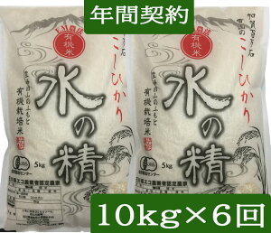 yNԌ_zyzu̐v10kgi5kg×2jE6񔭑L@͔|āsJAStߘa7NY EM_@EЂi_/L@ )uꊇviwFkCAȊO0~jwāxw