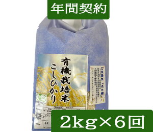 yNԌ_wzyzL@āu̐v2kgE6񔭑/L@͔|āsJAStߘa7NY EEM_@EЂi_/L@ )uꊇviwFkCAȊO0~j