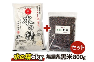 �y�ߘa7�N�Y�z�L�@JAS�F�ؕăR�V�q�J���u���̐��v5kg�{���_�򍕕�800g�Z�b�g �ΐ쌧�YEM�_�@ �L�@�͔|�� ���� ���� 5���Â������đI���� �Ñ�� �A���g�V�A�j���z�� �h�{���͂�
