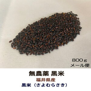ߘa6NY V _ Ñ āiނ炳j 800g[  Õ