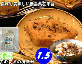 令和5年産 若玄米 【送料無料】 JAS認証・有機若緑コシヒカリ小粒玄米・1.5kg 若玄米 緑玄米
