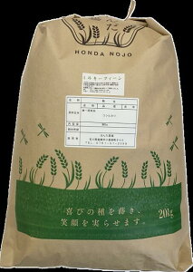  20kg ߘa7NY V Җ{̃~L[NC[@  炨Iт@Vc