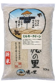 令和7年産 ミルキークイーン 10kg 石川県産 単一原料米 低アミロース米 もちもち食感 冷めても美味しい 白米 玄米 5分づき 無洗米対応 精米したて直送 お弁当 おにぎり向き